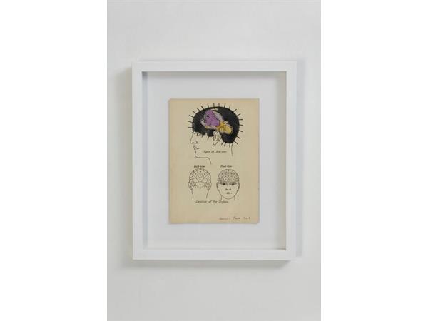 ~/upload/Lots/9614/AdditionalPhotos/qo3eyjdlsrcbc/31. School of thought, 41 x33 cm Paper, cotton thread and rubber, framed_t600x450.jpg
